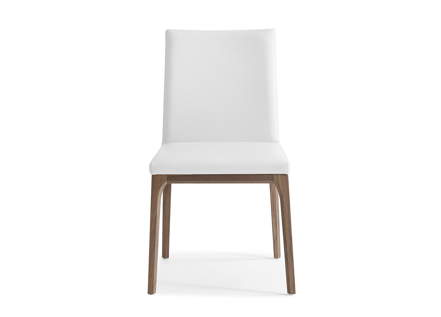 Whiteline Stella Dining Chair - GOLD STAR Dining