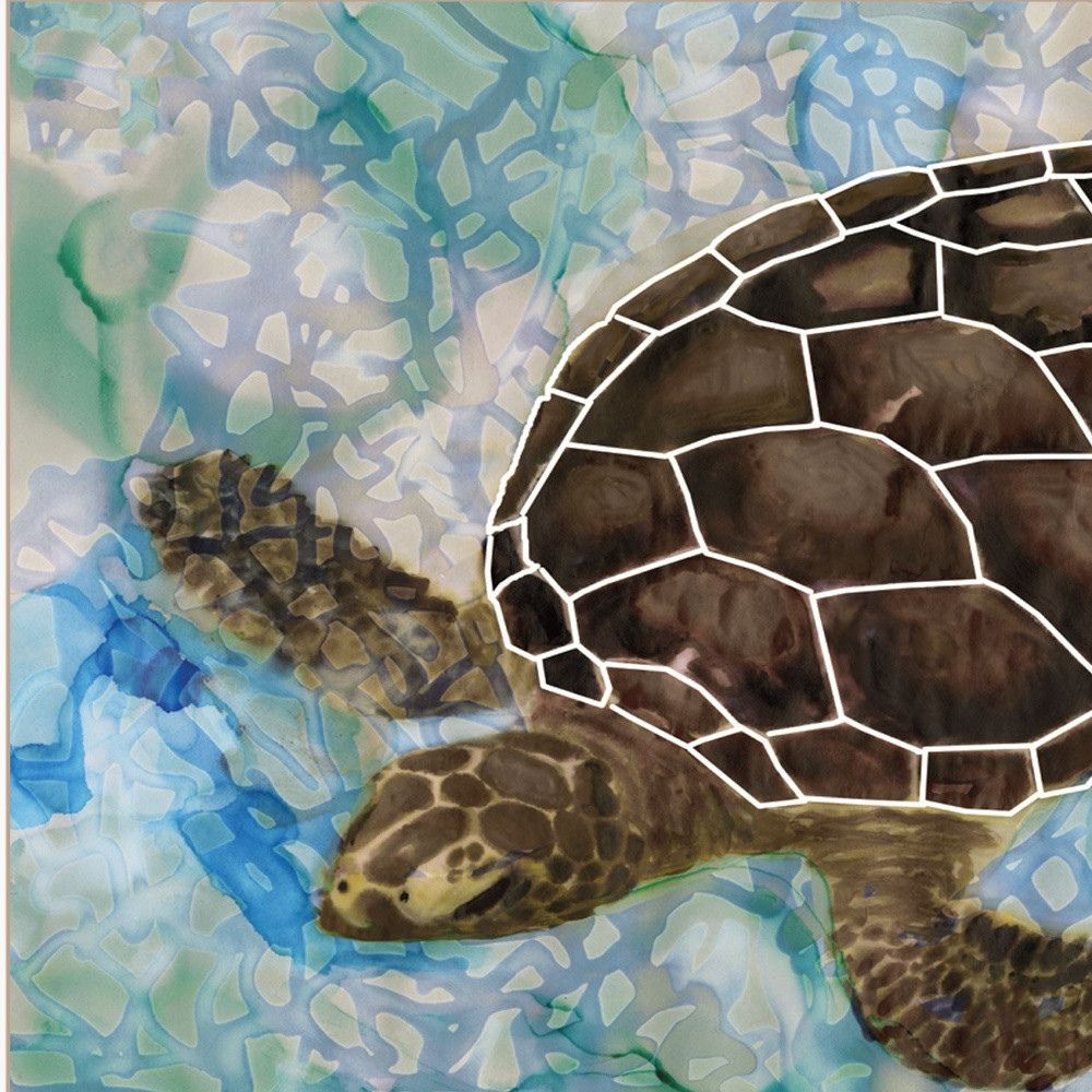 White Framed Sea Turtles Collage II 1 Print Wall Art